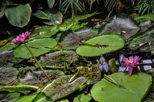 ... & darunter ist tatsächlich Wasser ...