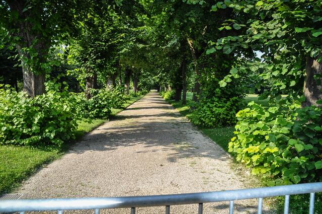 Blick in die gesperrte Lindenallee ...