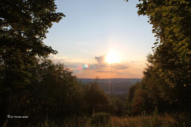 Gegenlicht...