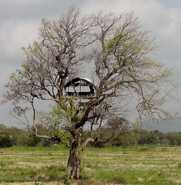 So gesehen in Sri Lanka