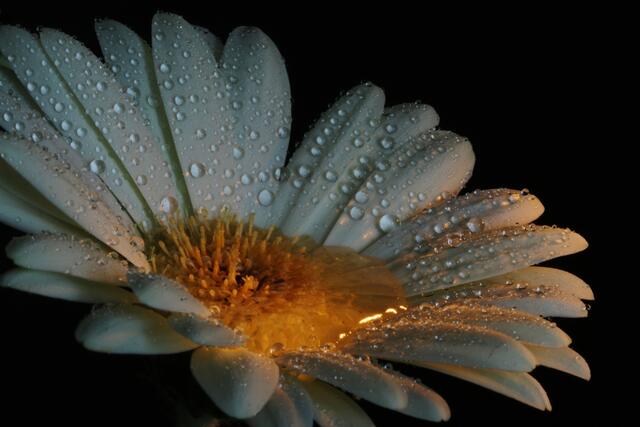 Auf Regen folgt Sonne