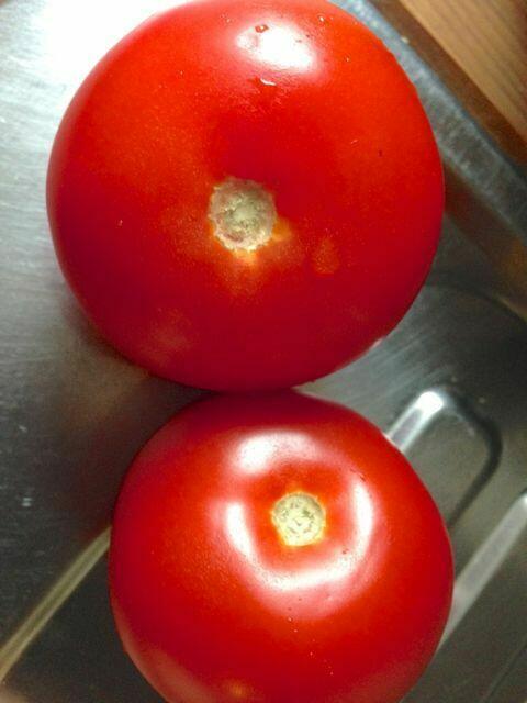 Tomaten würfeln