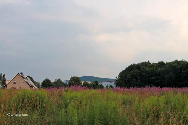 Blick vom Wiesaer Weg...
