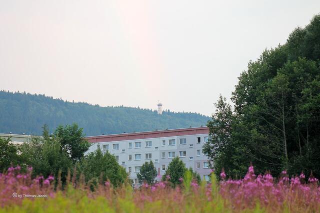 ...zum Pöhlberg. Ein Hauch von Regenbogen war zu sehen.