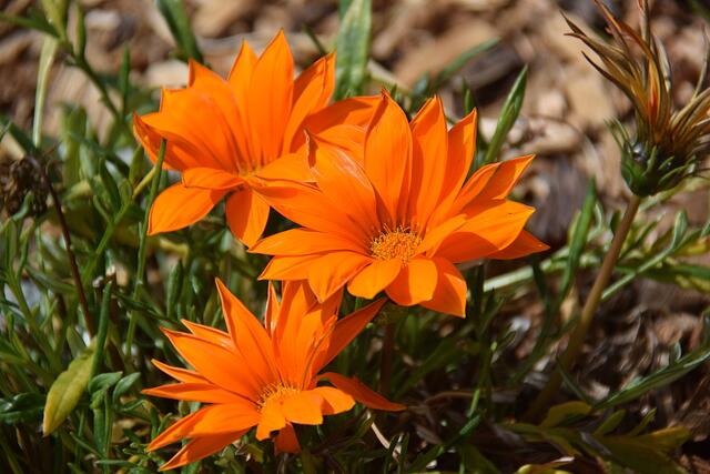 und erholsames Wochenende, wünsche ich Euch allen!