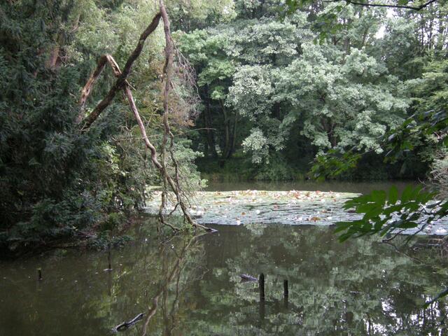 Hohnhorstteiche vor dem "Rodelberch".