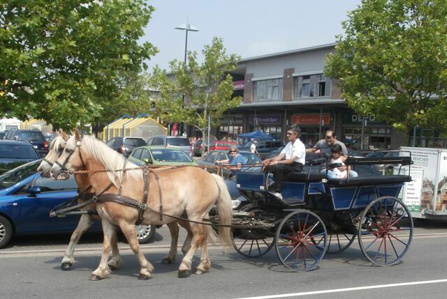 Der Ponyhof Bothfeld bietet Rundfahrten durch Bothfeld rund um das Veranstaltungszentrum an.