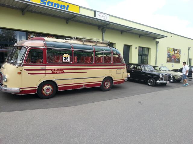 Kässbohrer Setra  *Bj: 1958