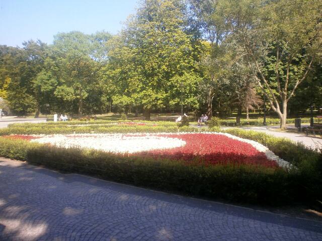 Wir fahren durch den Kurpark, der zwischen dem Zentrum und dem Kurviertel mit der Strandpromenade liegt. Er besteht nicht nur aus Park, sondern auch aus Kiefernwald.