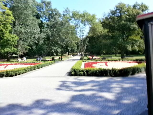 Wir fahren durch den Kurpark, der zwischen dem Zentrum und dem Kurviertel mit der Strandpromenade liegt. Er besteht nicht nur aus Park, sondern auch aus Kiefernwald.