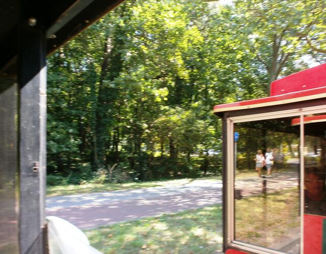 Wir fahren durch den Kurpark, der zwischen dem Zentrum und dem Kurviertel mit der Strandpromenade liegt. Er besteht nicht nur aus Park, sondern auch aus Kiefernwald.