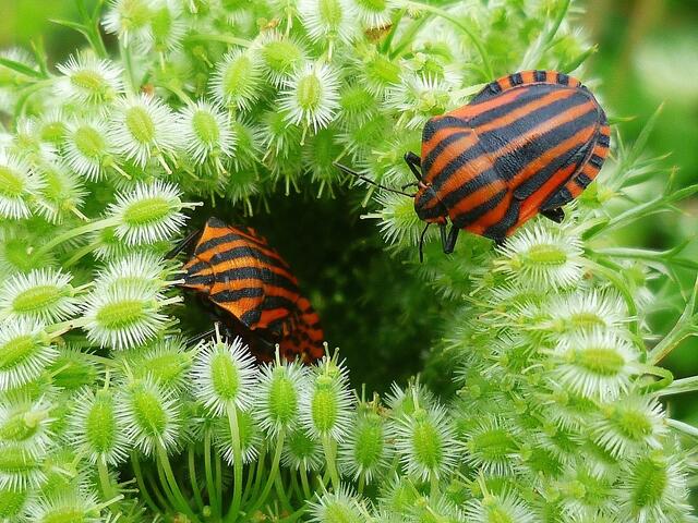 Ist die Wohnung noch frei - gesehen am 30.7.2014 !