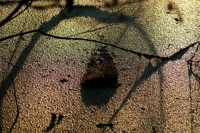 Seltsame Licht- und Farbspiele auf der Wasseroberfläche.