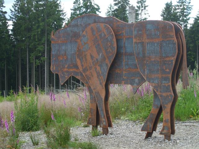 aus Stahl geschnitten - am Eingang der Wisent-Wildnis