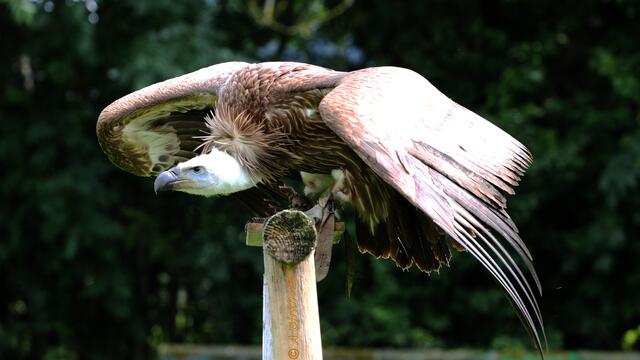 In der Fliegersprache würde man sagen "ready for take off"