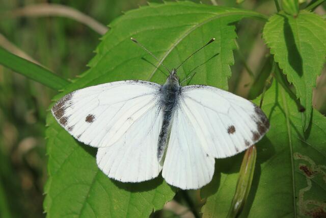 Ich wünsche euch einen wunderschönen Sonntag!