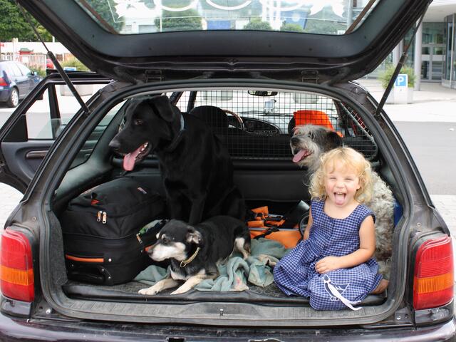 Sommer ist die Jahreszeit des miserablen Schlittenfahrens.

Weisheit der Inuit