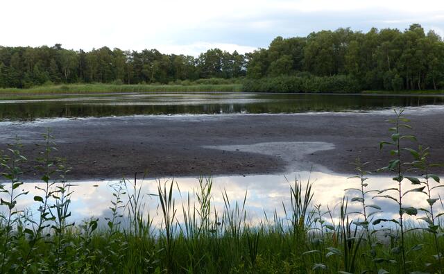 Der Würmsee mal mit niedrigem Wasserstand...