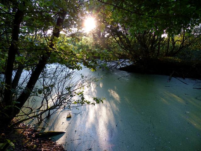 Ein Ort an dem der Naturfreund entspannen, forschen und träumen kann.