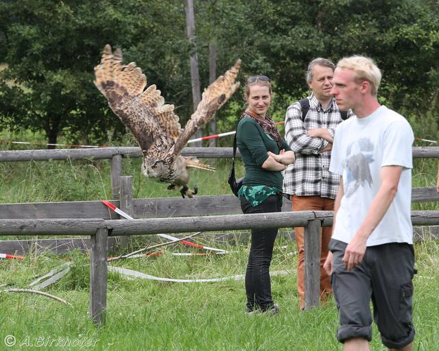 Der Falkner (rechts im Bild) war sehr freundlich