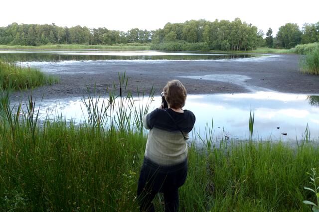 11. Juli 2014 - Eine ganz andere Atmosphäre herrscht am Würmsee. Der wechselhafte, aber dann doch immer weiter zur fast kompletten Austrocknung driftende Wasserstand des Würmsees - im Sommer 2014 - wurde in gewissen Zeitabständen fotografisch festgehalten.