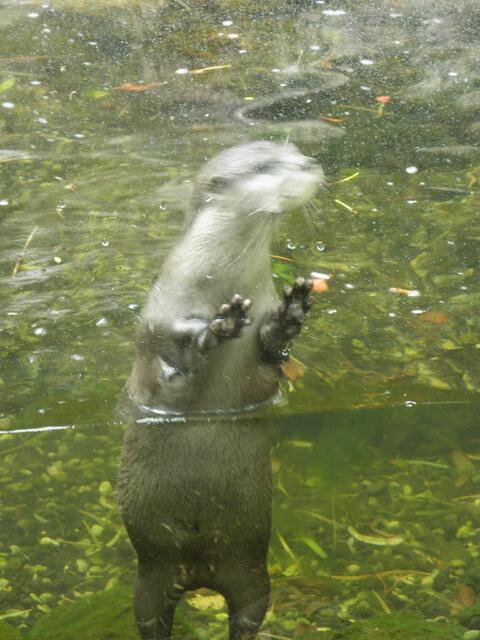 "Holt mich hier raus".