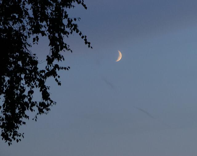 Auch der Mond und die in diesen lauen Nächten laut zirpenden Heuschrecken gehörten zum fast mediteran anmutenden Flair der Sommerabende im Juni und August.