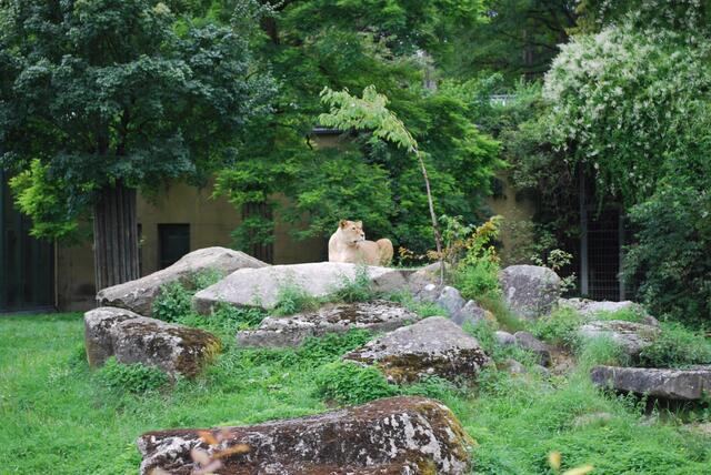 ... die Dame des Hauses ...