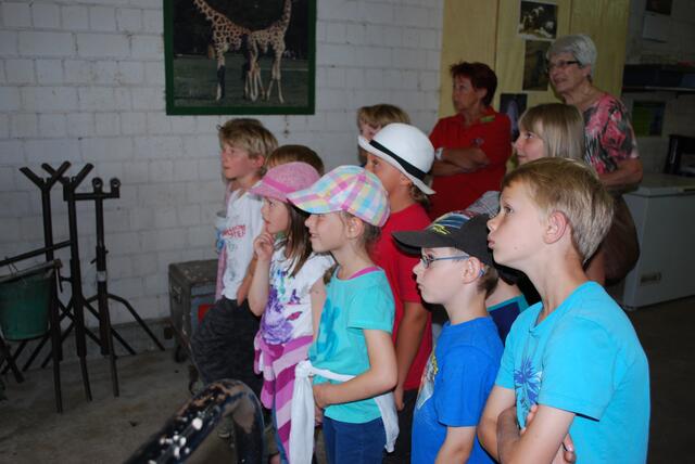 ... bei den Giraffen ...