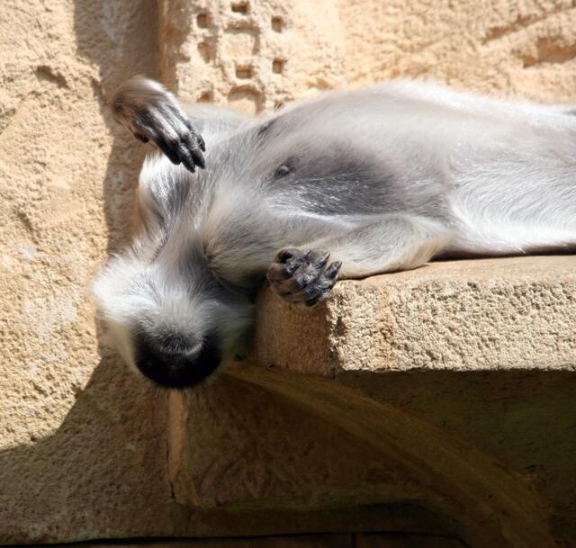 He, was liegst Du denn da so platt herum?
