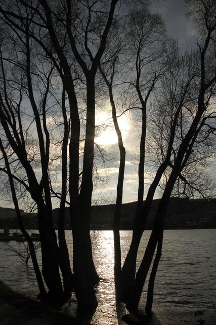 Am Diemelsee