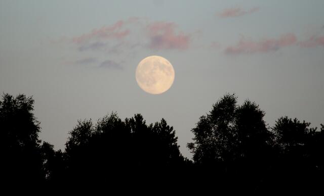 Vollmondnacht am Würmsee.