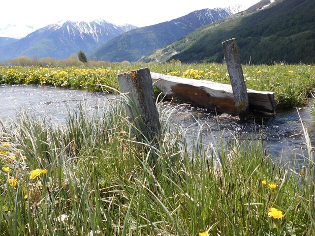 In der Ferne der Ortler mit fast 3950 Meter Höhe