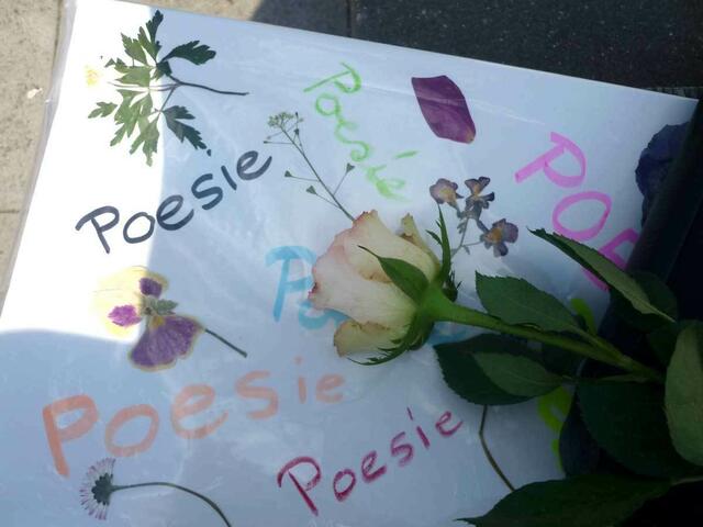 Blumenpoesie | Foto: G. Michaela Hug-Szajer