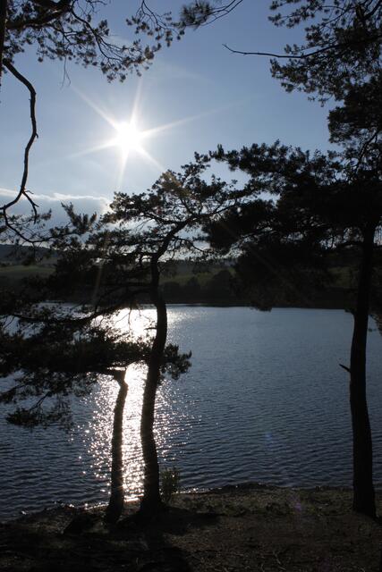 Glitzersonne über dem Diemelsee