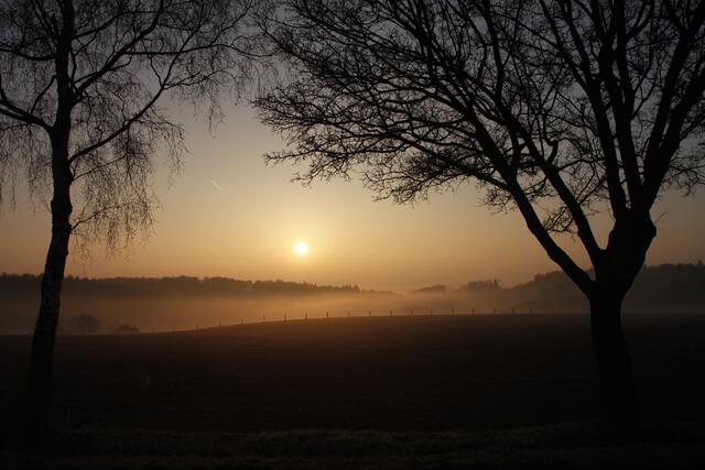 Sonne mit Nebel. Immer wieder schön