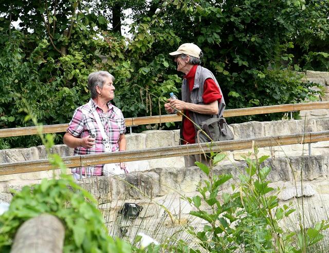 Anregende Diskussion über Frettchen ....