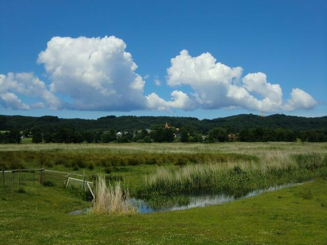 Blick von Seedorf auf Schloss Granitz (rechts).