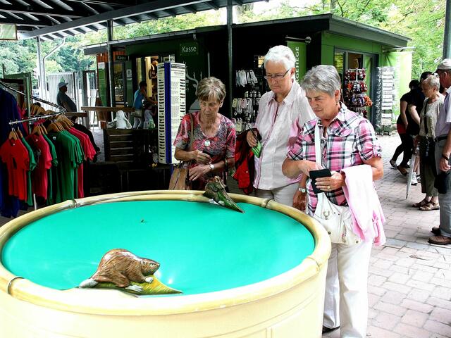 Hier wird das Kleingeld als Spende verspielt - die Münze rollt kreisend in den Trichter - diese Frauen haben ihr gesamtes Kleingeld geopfert, weil es richtig Spaß gemacht hat den Münzen zuzuschauen wie sie in dem Trichter verschwanden.