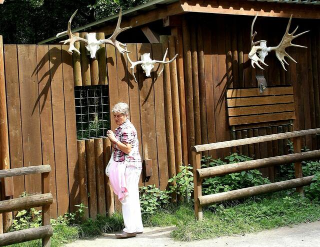 ..... hat die Aufnahme nicht hingehauen?