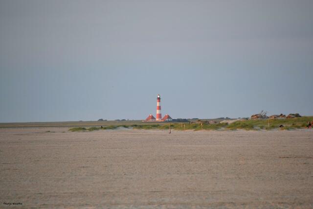 Fast zum Greifen nah, aber doch so weit entfernt... Westerheversand (Foto: Katja Woidtke)
