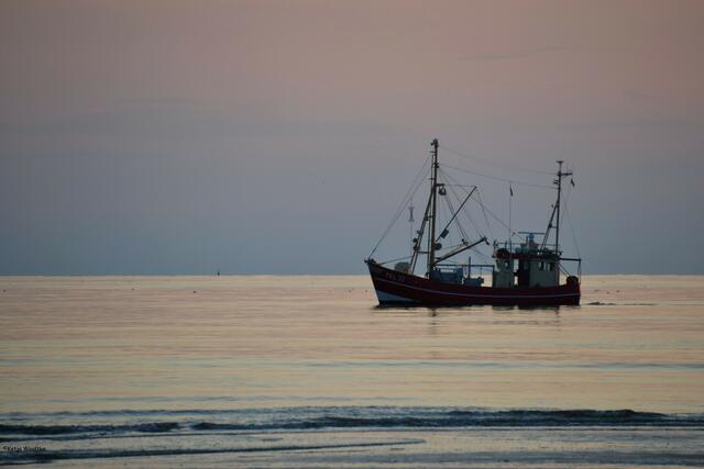 Kutter am Ordinger Strand im Abendlicht (Foto: Katja Woidtke)