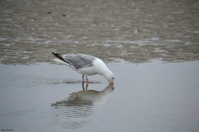 Küss mich! (Foto: Katja Woidtke)