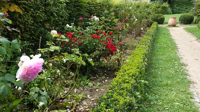Der „Duftrosengarten“ lädt zu einer Zeitreise durch die Züchtungsgeschichte der Stammrosen ein. Foto: Helmut Kuzina