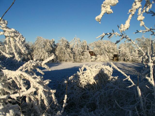 Schneelandschaft
