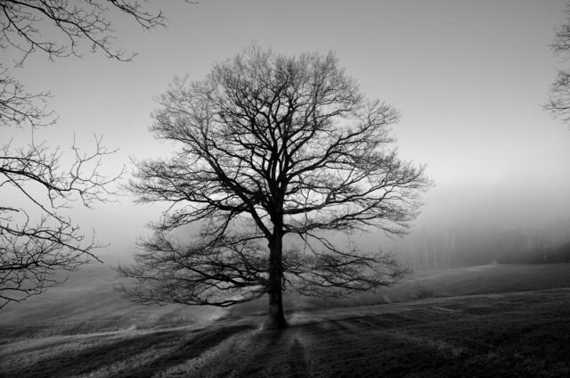 Licht und Schatten