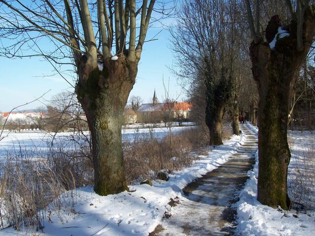 Februar: Weg zum Kloster Wülfinghausen