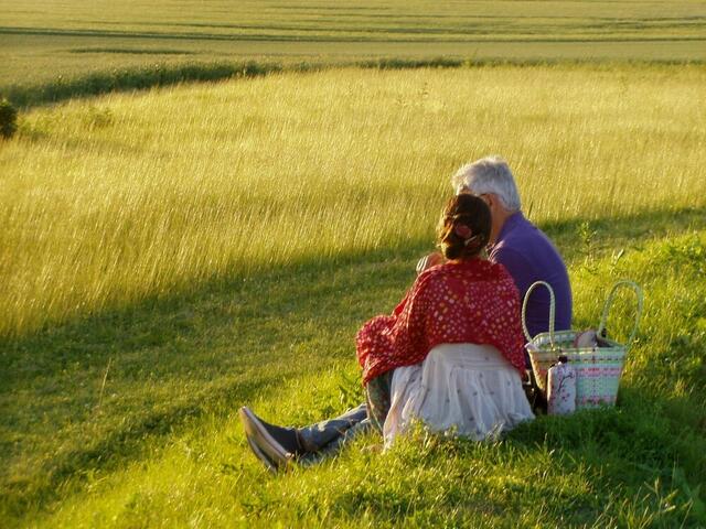 Picknick im Juni