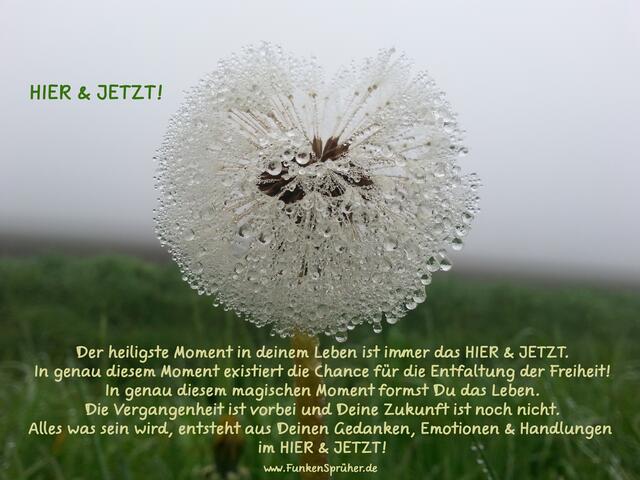 HIER & JETZT