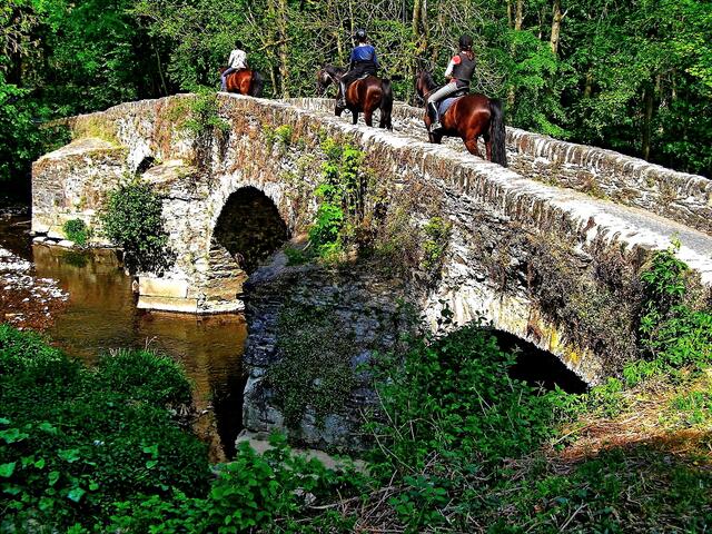 Brücke über die Nister